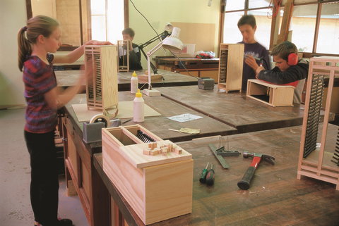 Forest Discovery Centre - Sydneys Hotel 1