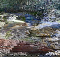Liffey Falls Reserve - Sydneys Hotel