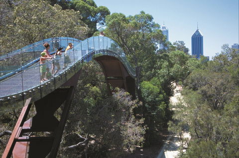 Lotterywest Federation Walkway - Kings Park - Sydneys Hotel 1