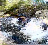 Polblue Falls - Sydneys Hotel