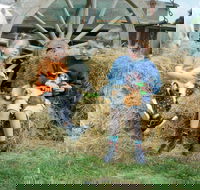 Rain Hayne and Shine Farmyard