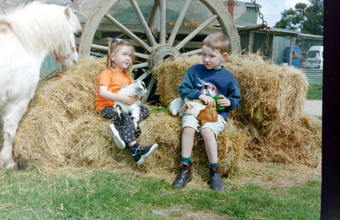 Rain Hayne And Shine Farmyard - Sydneys Hotel 0