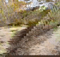 Red Rocks trig walking track - Sydneys Hotel