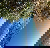 Richmond Valley Cultural Heritage Self Drive Tour