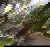 Roraima Nursery and Cafe - Sydneys Hotel