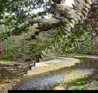 Saltwater National Park - Sydneys Hotel