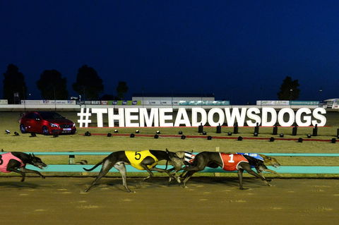 The Meadows - Sydneys Hotel 0