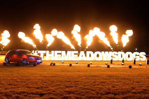 The Meadows - Sydneys Hotel 2
