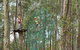 TreeTops Newcastle - thumb 0