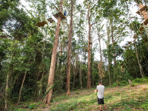 TreeTop Challenge - Sunshine Coast - Sydneys Hotel 1