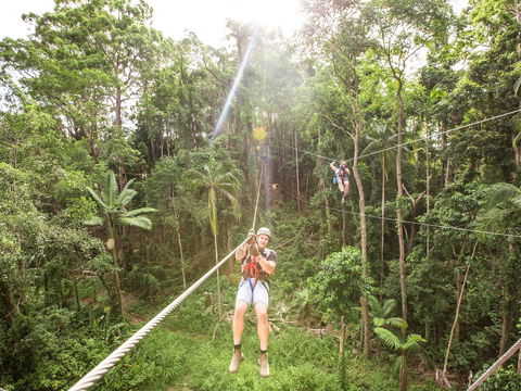 TreeTop Challenge - Sunshine Coast - Sydneys Hotel 2