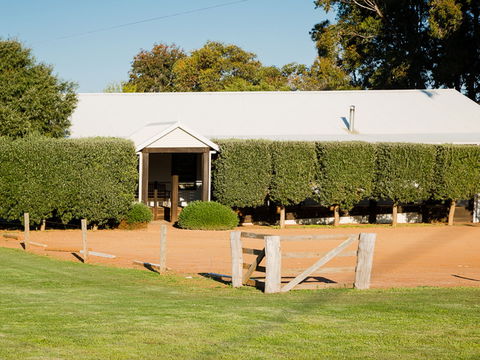Vasse Virgin - Sydneys Hotel 1
