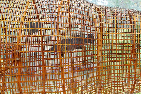 Wagirra Trail And Yindyamarra Sculpture Walk - Sydneys Hotel 2