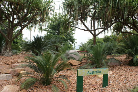 Anderson Park Botanic Gardens - Sydneys Hotel 2