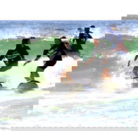 Broadbeach Surf School