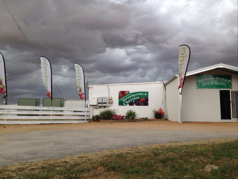Fairfield Orchard - Sydneys Hotel 2