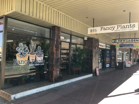 Fancy Plants - Sydneys Hotel 1