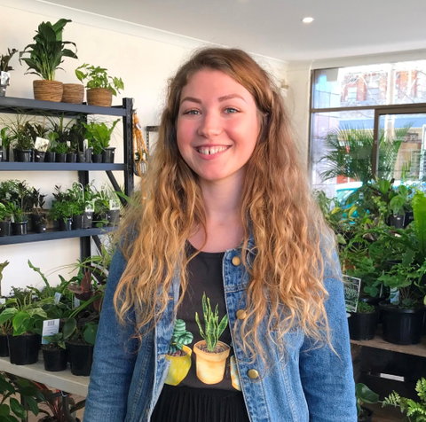 Fancy Plants - Sydneys Hotel 2