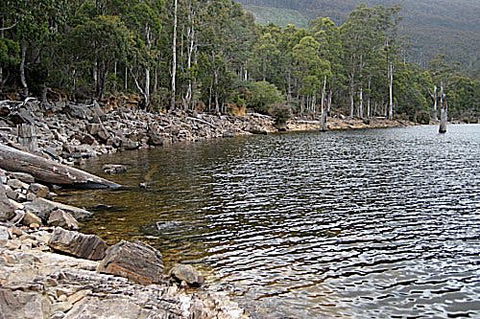 Lake Rowallan - Sydneys Hotel 1
