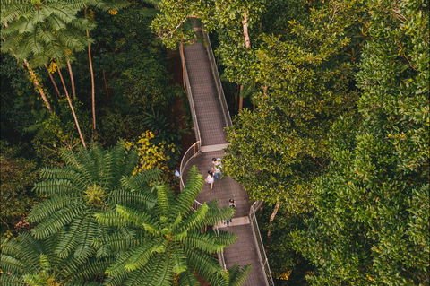 Mamu Tropical Skywalk - Sydneys Hotel 2