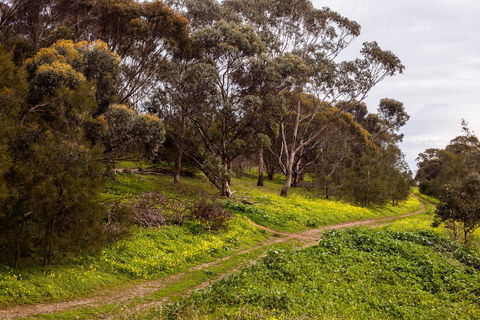 O'Halloran Hill Recreation Park - Sydneys Hotel 1
