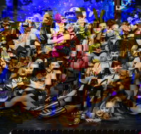 The Pink Flamingo Spiegelclub Gold Coast