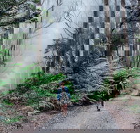 The Corn Trail Walking Track - Sydneys Hotel