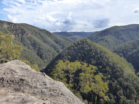 Vale Of Avoca - Sydneys Hotel 0