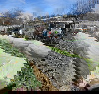 Wynlen House Tour a Unique Urban Regenerative Farm and Market Garden - Sydneys Hotel