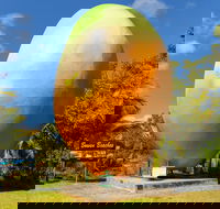 Big Mango - Sydneys Hotel
