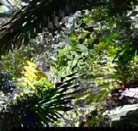 Byrrill Creek Walking Track - Sydneys Hotel
