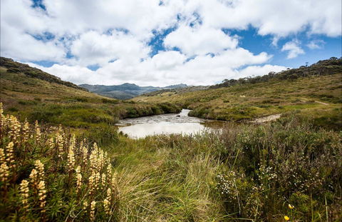 Cascade Hut Trail - Sydneys Hotel 0