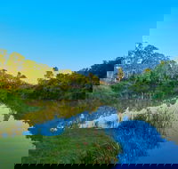 Cribb Park - Sydneys Hotel