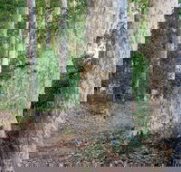 Delta Track - Sydneys Hotel