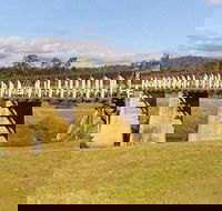 Historic Tabulam DeBurgh Timber Bridge - Sydneys Hotel