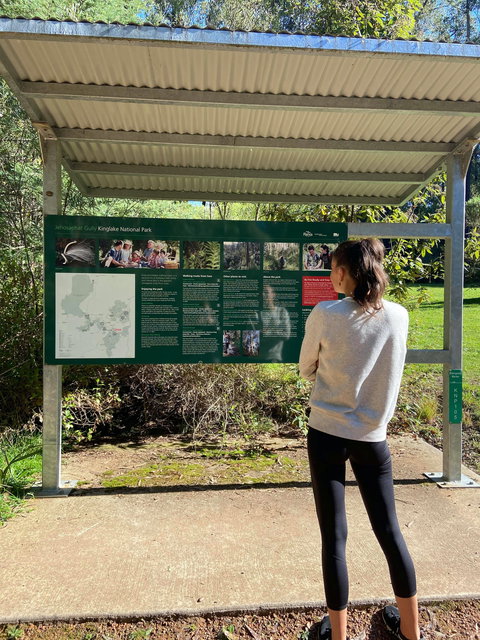 Jehosaphat Gully Picnic Area - Sydneys Hotel 0