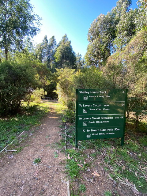 Jehosaphat Gully Picnic Area - Sydneys Hotel 2