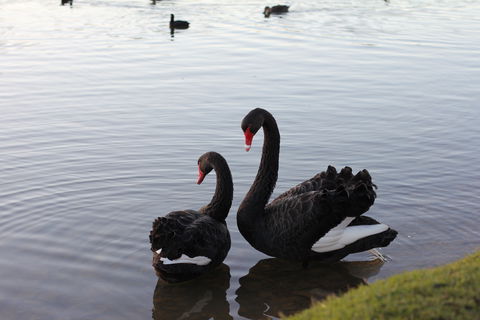 Lake Weeroona - Sydneys Hotel 1