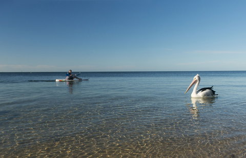 North Beach - Sydneys Hotel 1