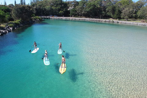 Paddleboard At Back Creek South West Rocks - Sydneys Hotel 0