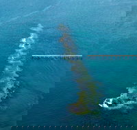 Port Noarlunga Reef Sanctuary Zone - Encounter Marine Park - Sydneys Hotel