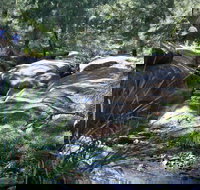 Towarri National Park - Sydneys Hotel