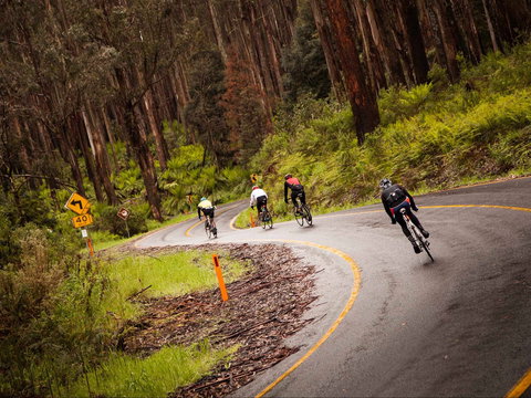 7 Peaks Ride - Lake Mountain - Sydneys Hotel 1