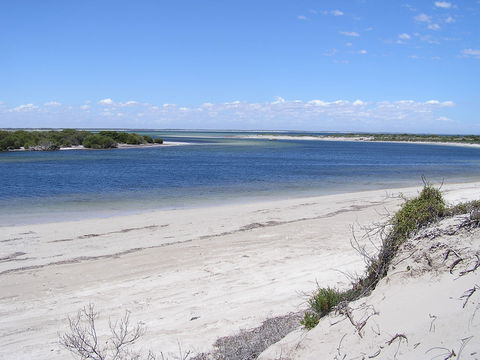 Acraman Creek Conservation Park - Sydneys Hotel 0