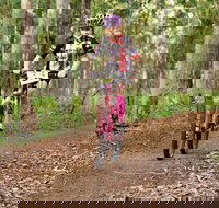 Bom Bom State Forest Mountain Bike Trails - Sydneys Hotel