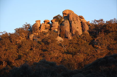 Evans Crown Nature Reserve - Sydneys Hotel 0