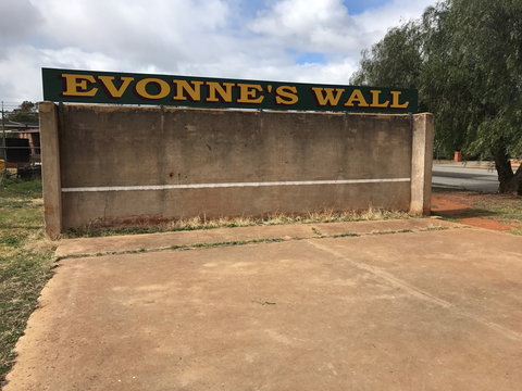 Evonne Goolagong-Cawley Wall - Sydneys Hotel 0