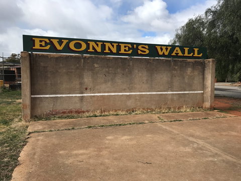 Evonne Goolagong-Cawley Wall - Sydneys Hotel 1