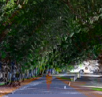 Fig Tree Avenue - Sydneys Hotel