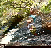 Haig Street Quarry Bushland Reserve Trails - Sydneys Hotel